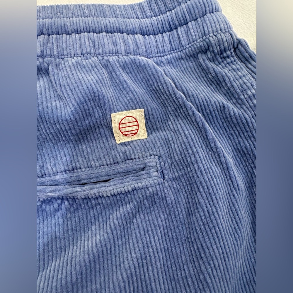 Men’s Marine Layer Corduroy Drawstring Shorts in Light Blue - Picture 6 of 6